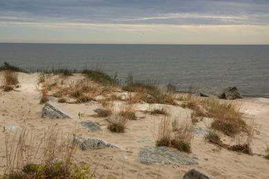 Sandee Illinois Beach State Park Camp Logan Beach