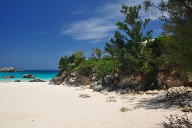 Sandee South Shore Beach Photo