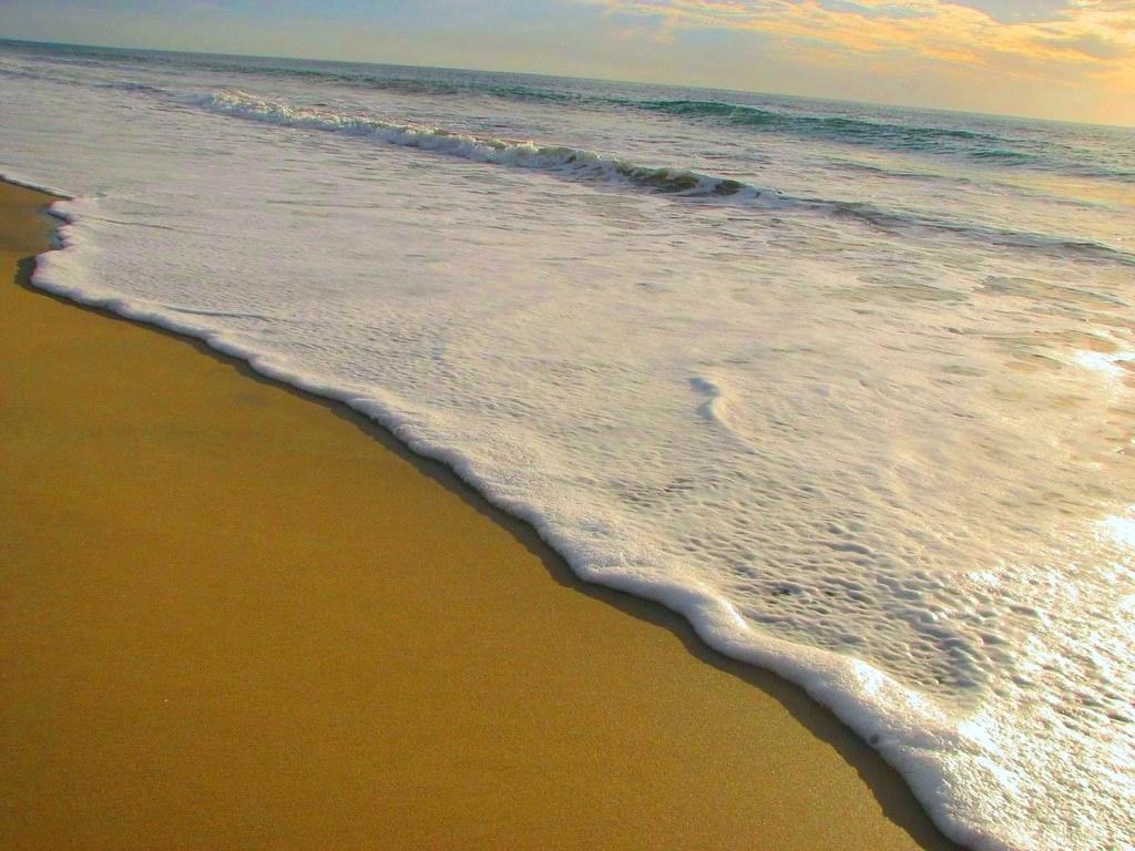 Sandee - Playa Punta Lobos