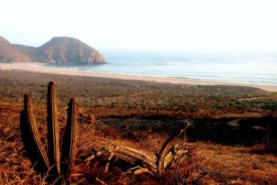 Sandee Playa Punta Lobos
