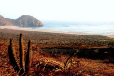 Sandee Playa Punta Lobos Photo