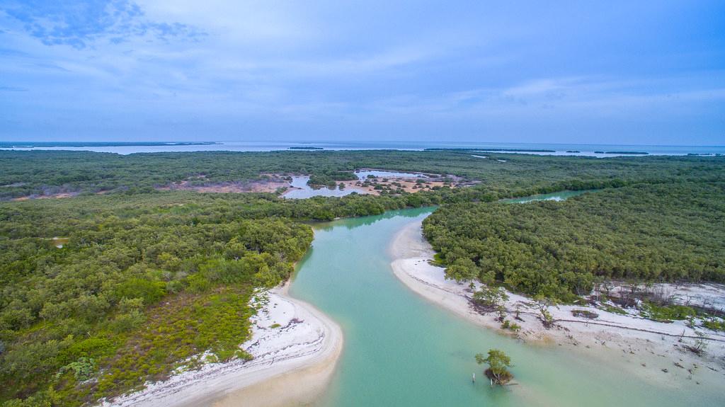 Sandee - Isla Holbox