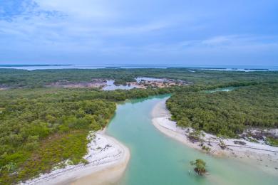 Sandee - Isla Holbox