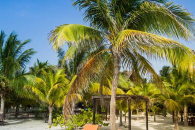 Sandee - Isla Holbox