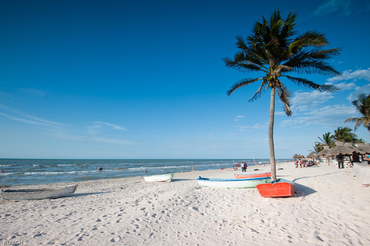 Sandee - Progreso Malecon