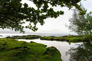 Sandee - Leleiwi Beach Park