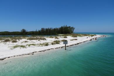 Sandee Longboat Key Photo