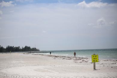 Sandee - Coquina Gulfside Park