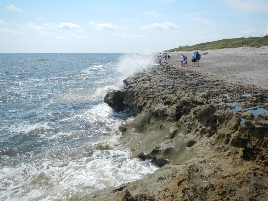 Sandee - Blowing Rocks Preserve