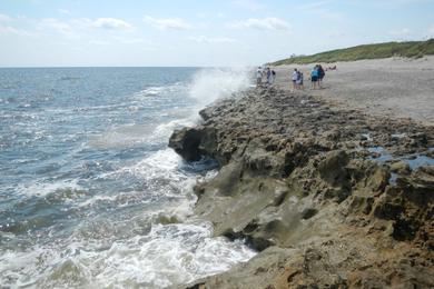 Sandee - Blowing Rocks Preserve