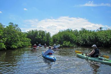 Sandee St. Lucie Inlet Preserve State Park Beach Photo