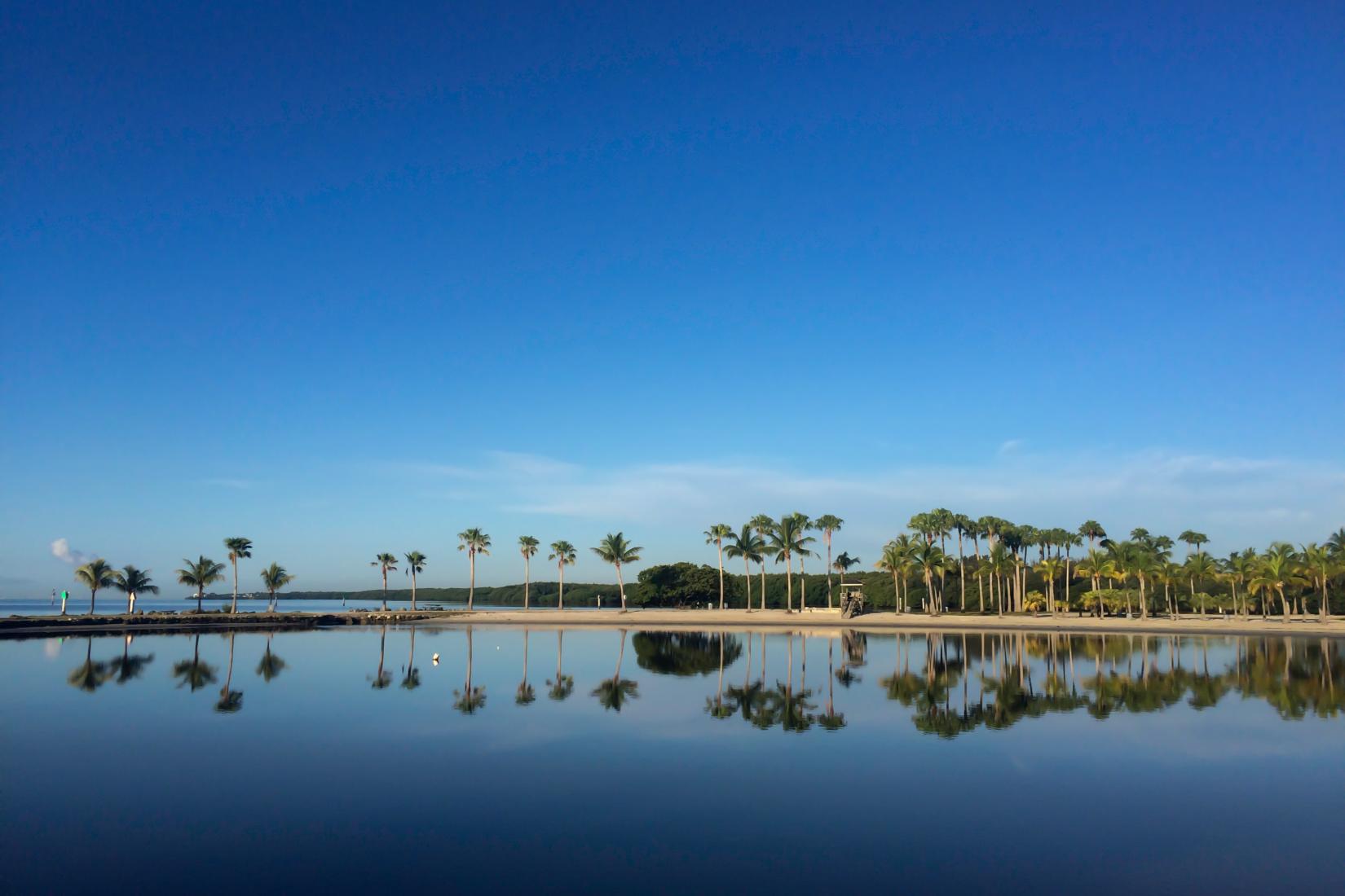 Sandee - Matheson Hammock Park