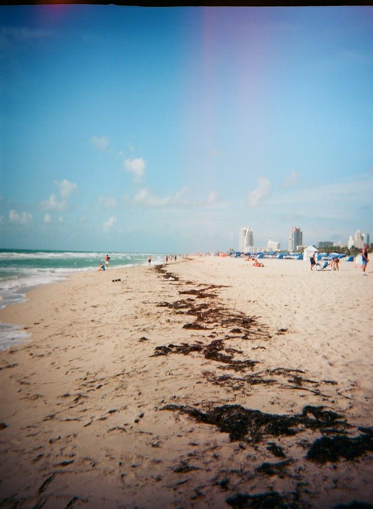 Sandee - Miami Beach - North Beach