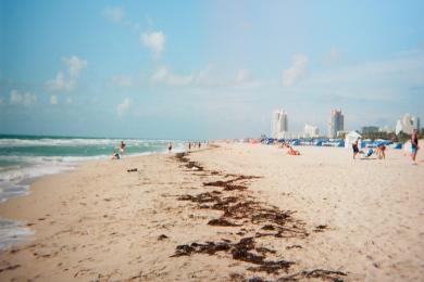 Sandee - Miami Beach - North Beach