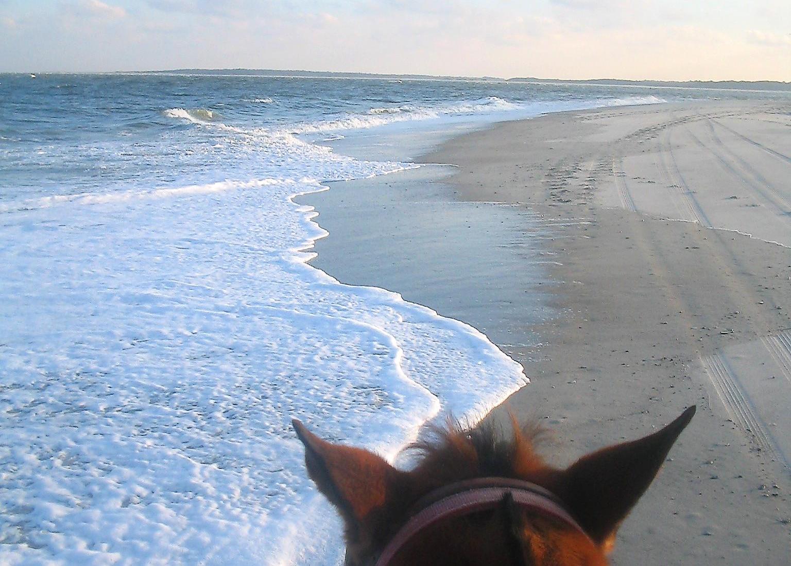 Sandee - Amelia Island State Park