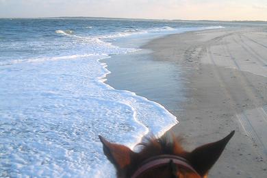 Sandee - Amelia Island State Park