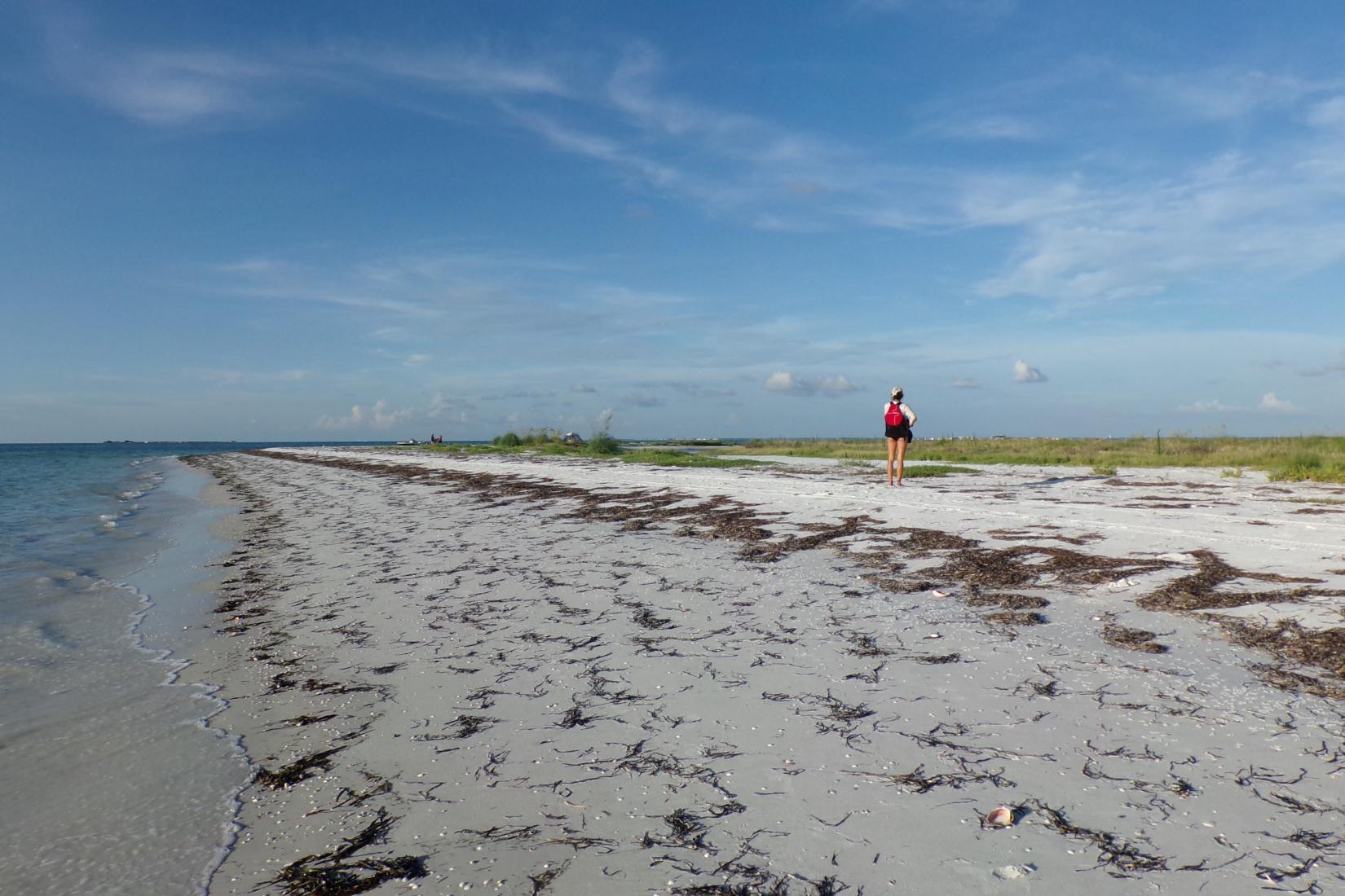 Sandee - Anclote River Park