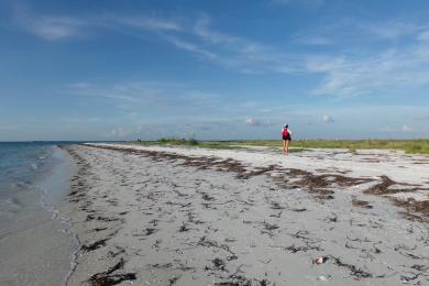 Sandee Anclote Key Preserve State Park Photo