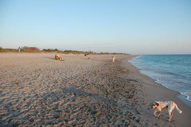 Sandee Brohard Beach And Paw Park Photo