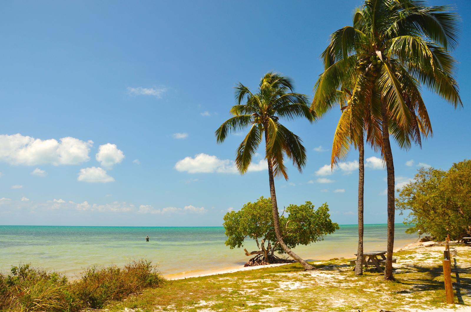 Sandee - Long Key State Park