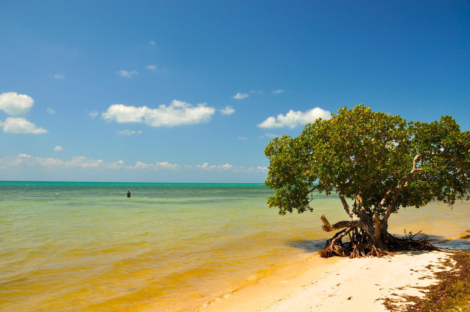 Sandee - Long Key State Park