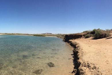 Sandee Tuscon Beach
