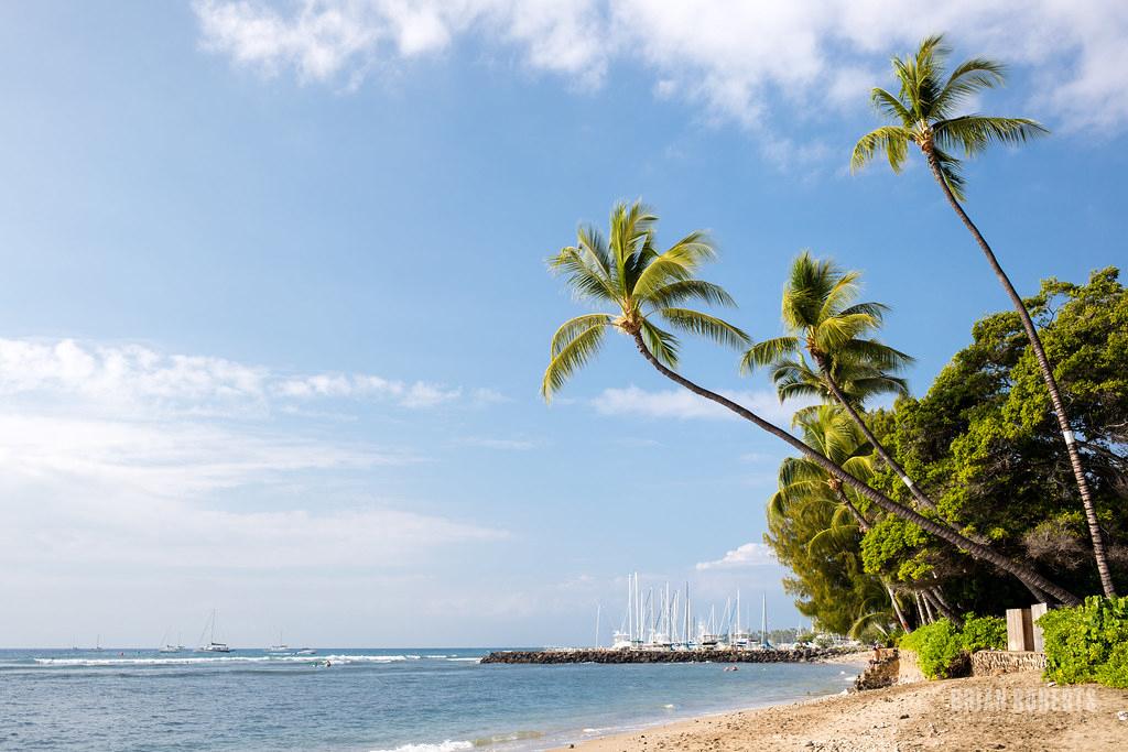 Sandee - Lahaina Beach