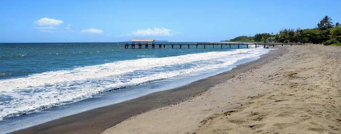 Sandee - Waimea Beach