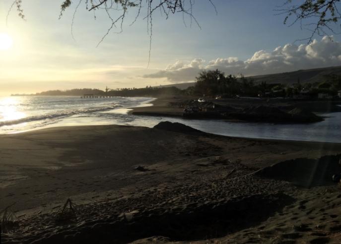 Sandee - Waimea Beach