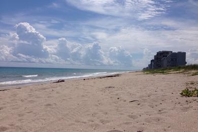 Sandee Dollman Park Beachside Photo