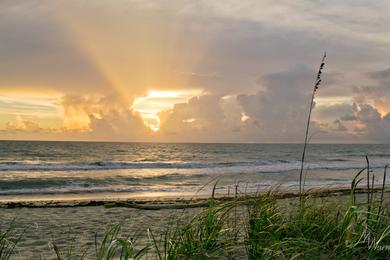 Sandee - Dollman Park Beachside