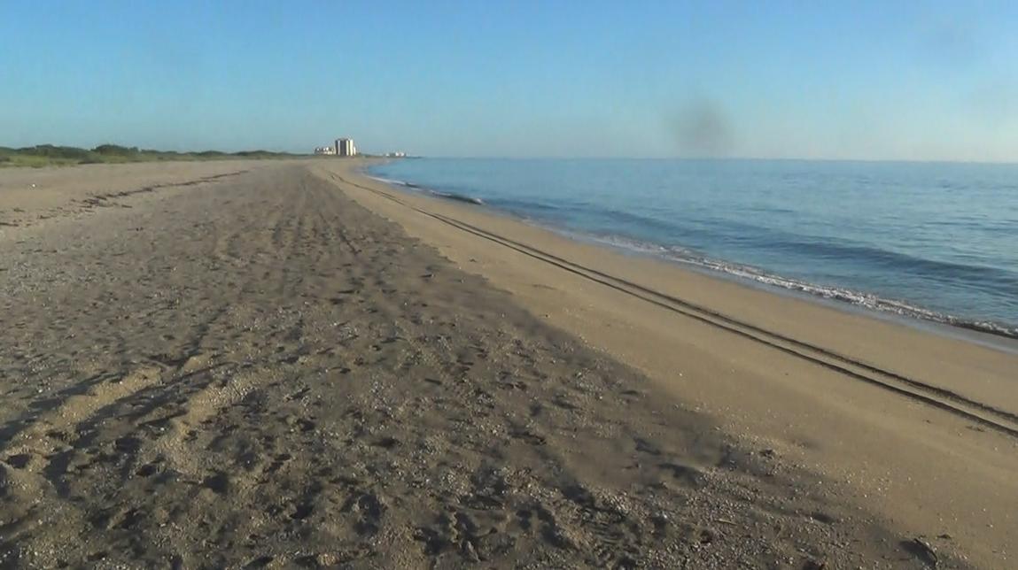 Sandee - John Brooks Beach