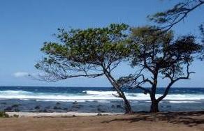 Sandee - Punalau Beach