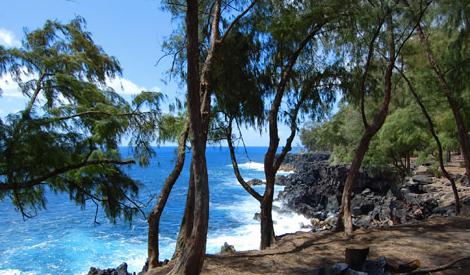 Sandee - Mackenzie State Recreation Area