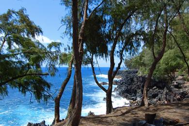 Sandee - Mackenzie State Recreation Area