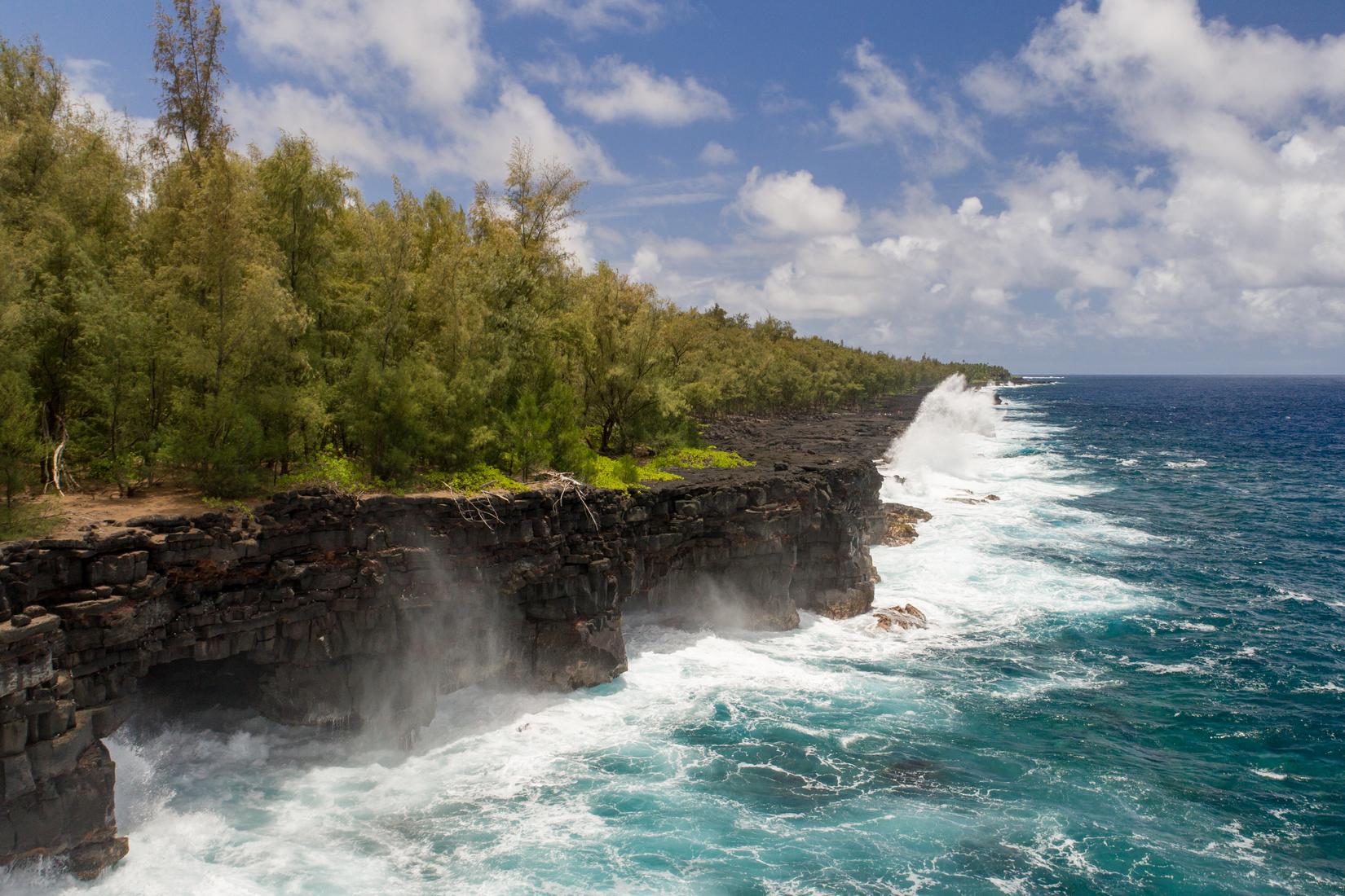 Sandee - Mackenzie State Recreation Area