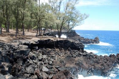 Sandee - Mackenzie State Recreation Area