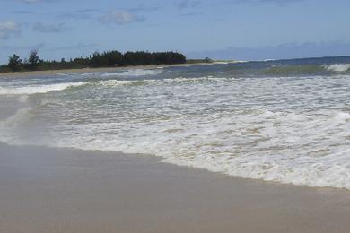 Sandee - Barking Sands Beach