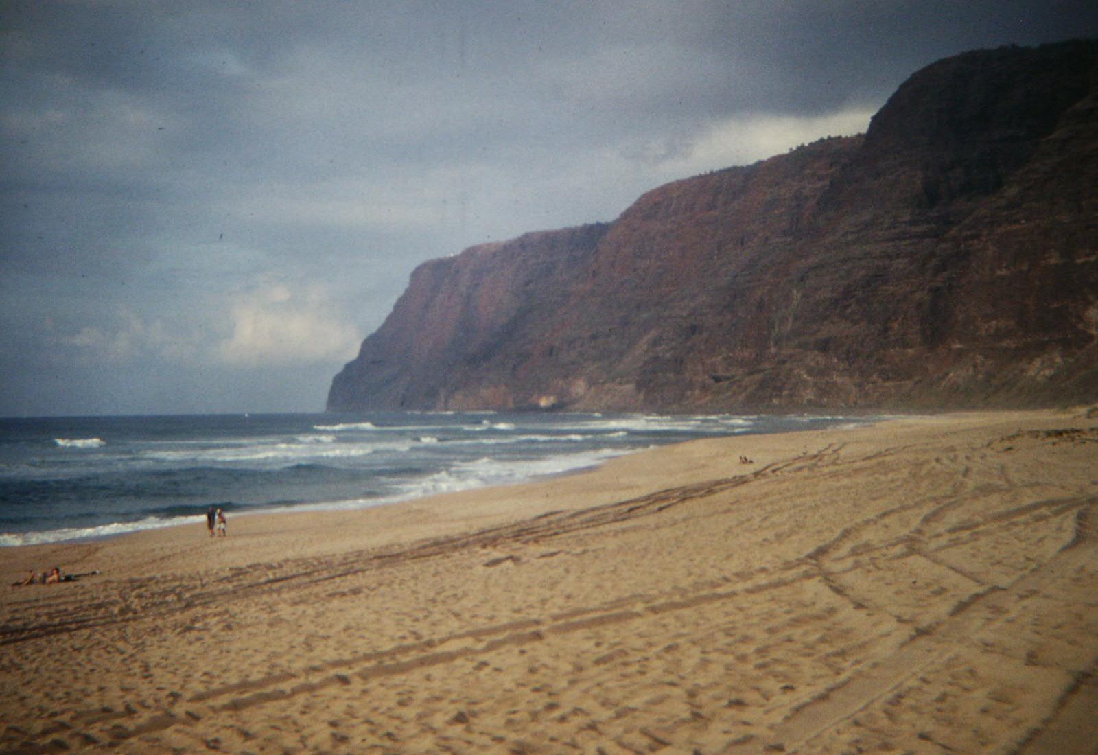 Sandee - Barking Sands Beach