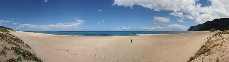 Sandee - Barking Sands Beach