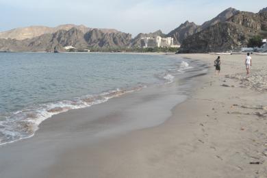 Sandee - Al Bustan Beach