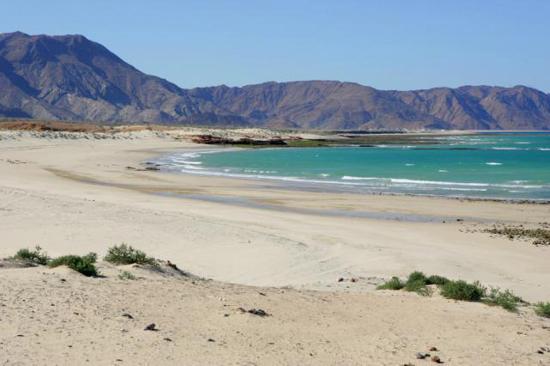 Sandee - Al Sifah Beach