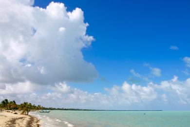 Sandee Punta Allen