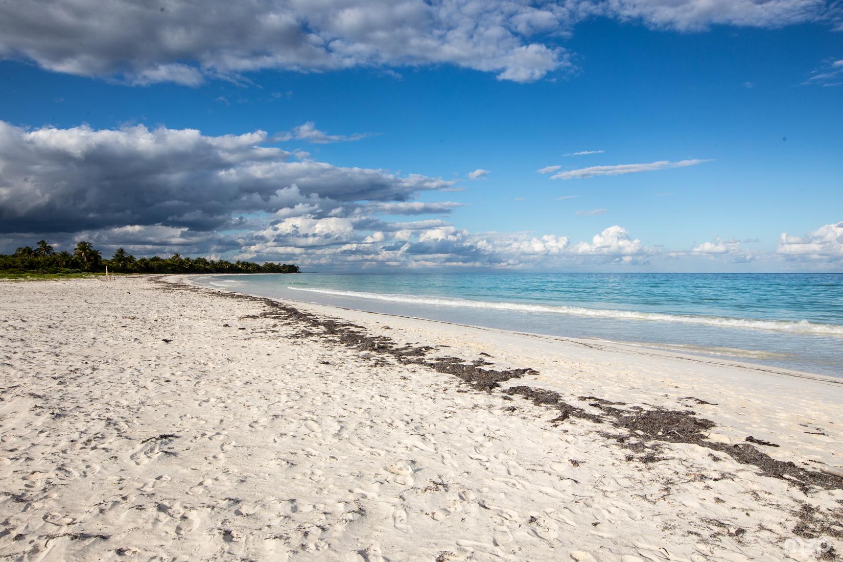 Sandee - HomePage / Punta Allen