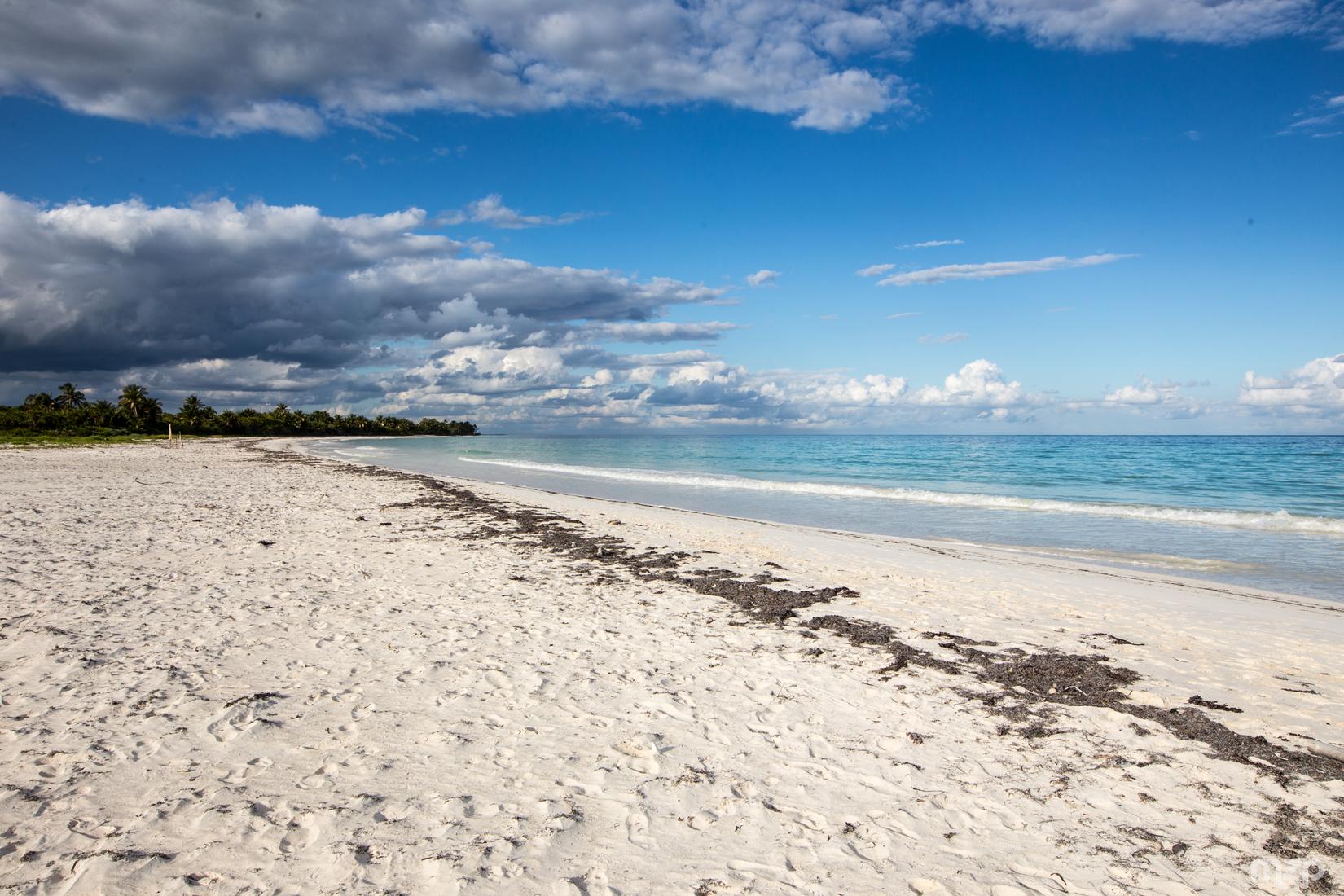 Punta Allen Photo - Sandee