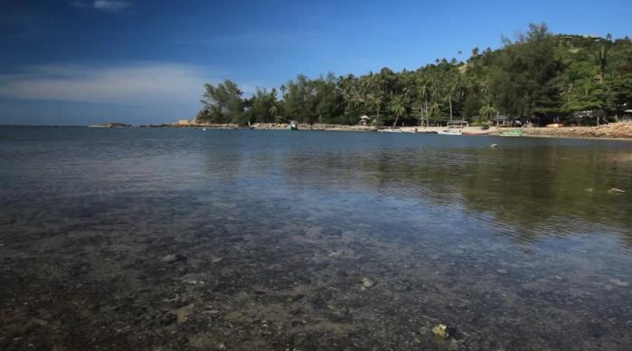 Sandee - Holualoa Bay Beach