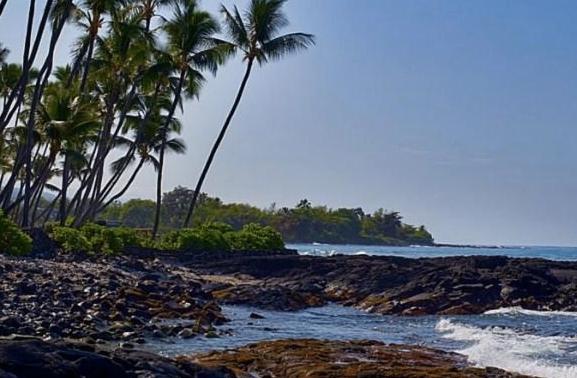 Sandee - Holualoa Bay Beach