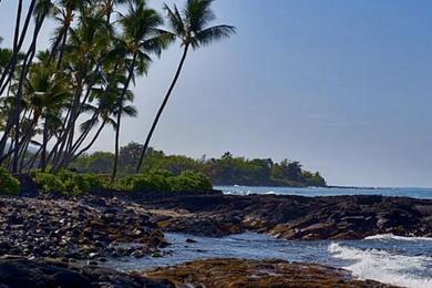 Sandee Holualoa Bay Beach