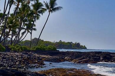 Sandee - Holualoa Bay Beach