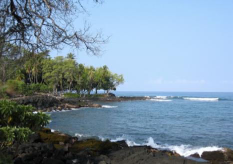 Sandee - Holualoa Bay Beach